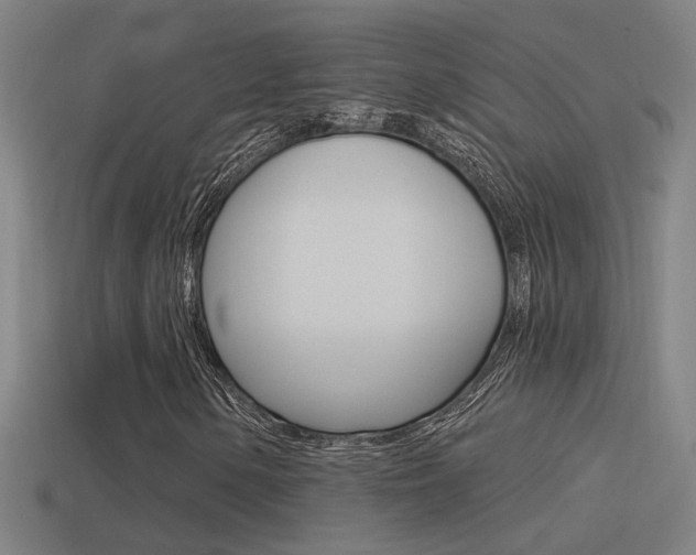 X0000114511154200910190923