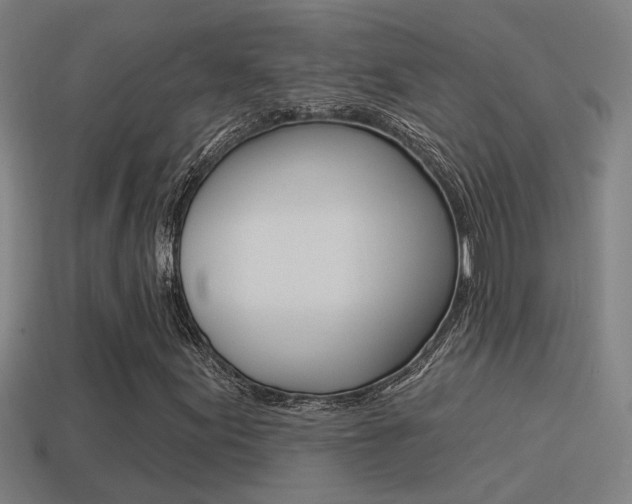 X0000114511155200910190923