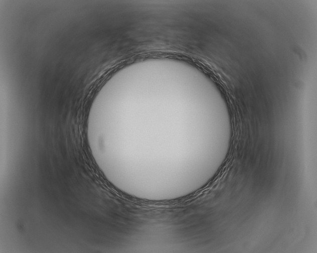 X0000114511157200910190923