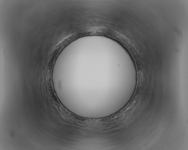 X0000114511158200910190923