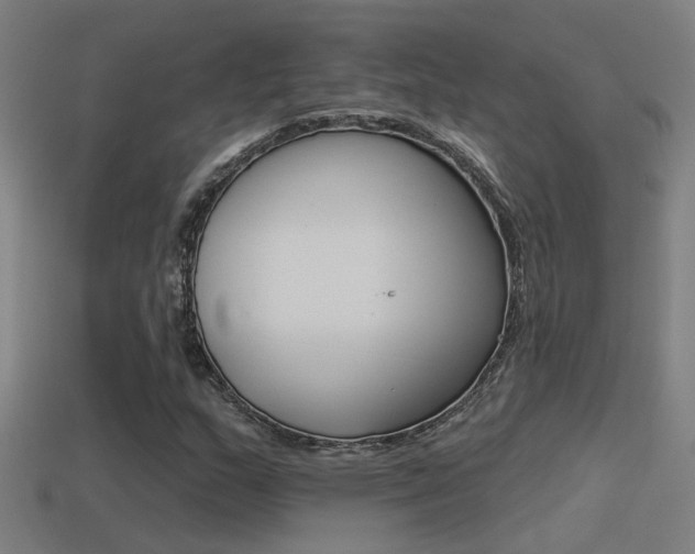 X0000114511159200910190923