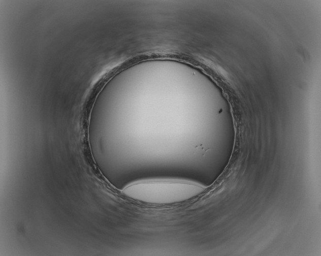 X0000114511160200910190923