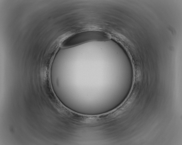 X0000114511161200910190923