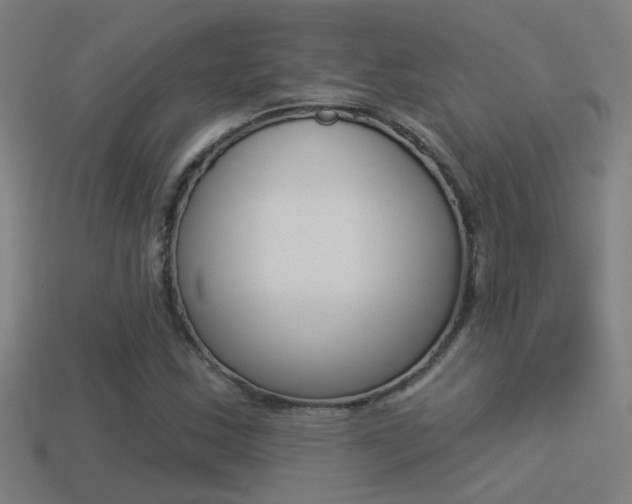 X0000114511163200910190923