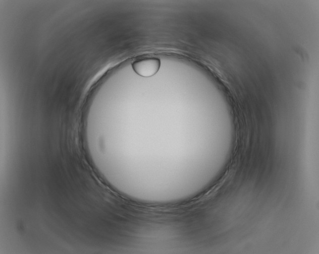 X0000114511165200910190923