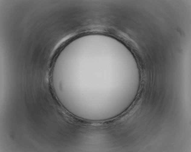 X0000114511166200910190923