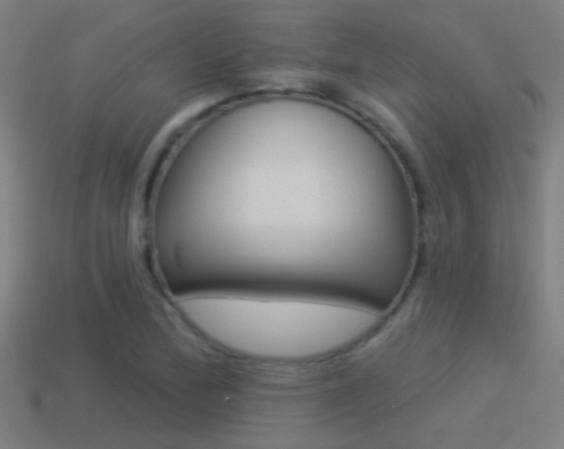 X0000114511172200910190923