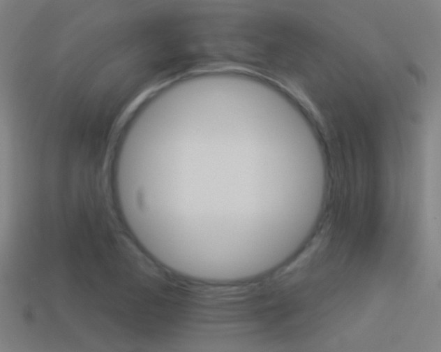 X0000114511173200910190923