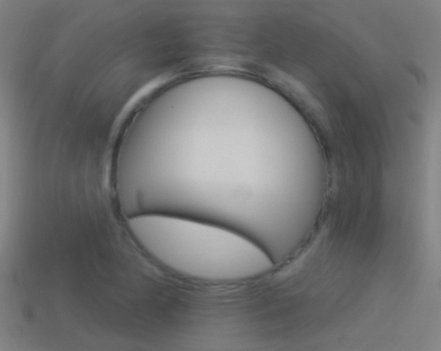 X0000114511174200910190923