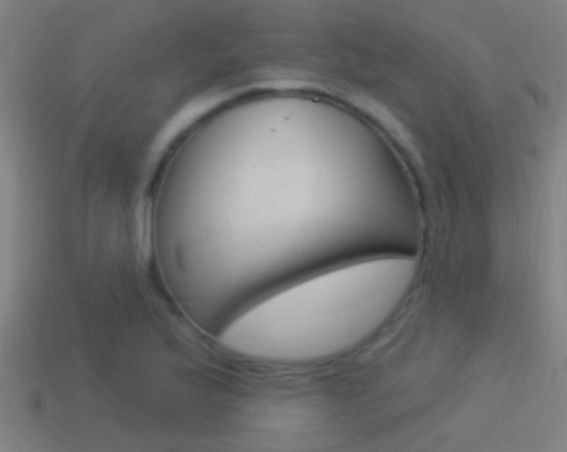 X0000114511175200910190923