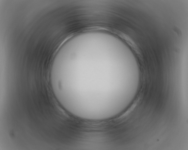 X0000114511177200910190923