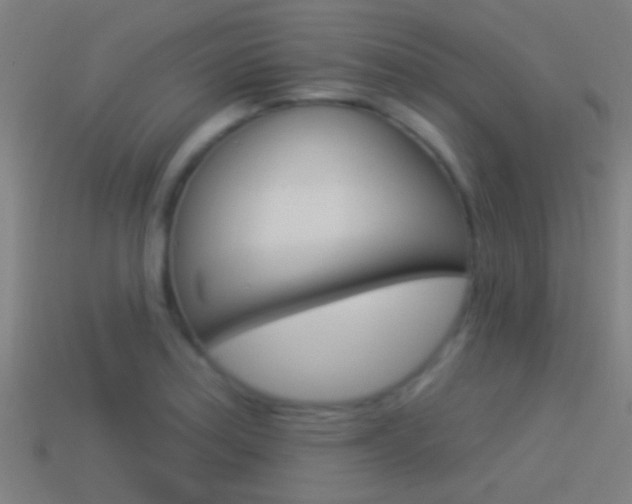 X0000114511179200910190923