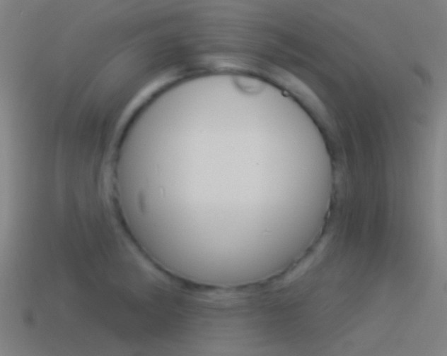 X0000114511182200910190923