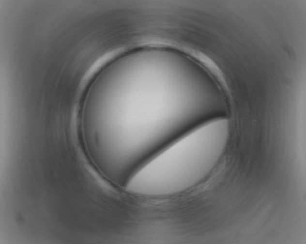 X0000114511183200910190923