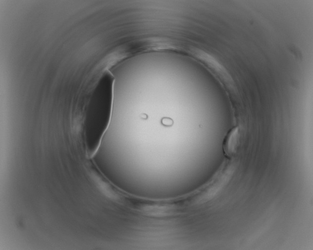 X0000114511185200910190923