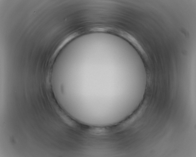 X0000114511186200910190923