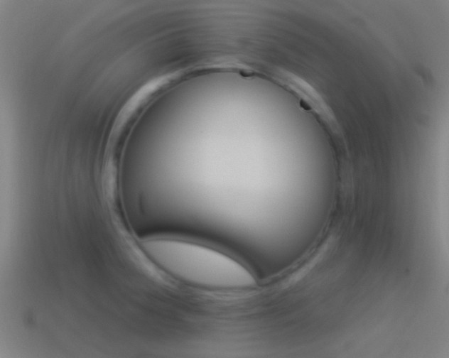X0000114511188200910190923