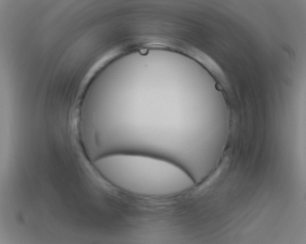 X0000114511190200910190923