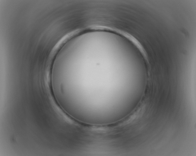 X0000114511191200910190923