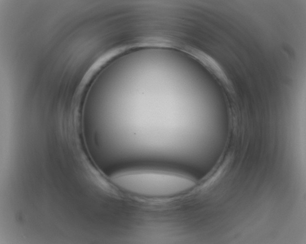X0000114511192200910190923