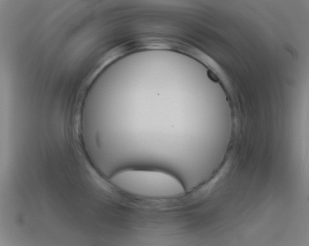 X0000114511194200910190923