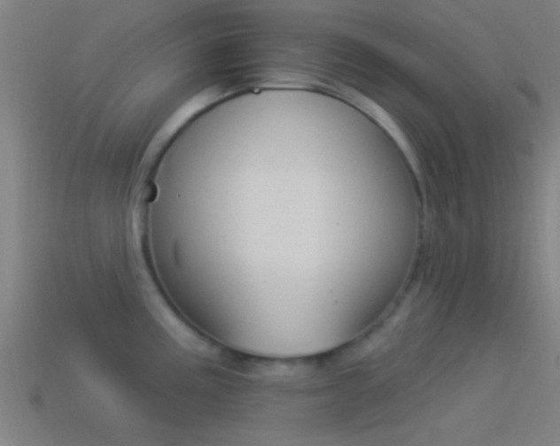 X0000114511195200910190922