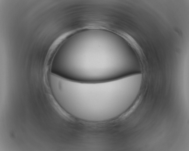 X0000114511196200910190922