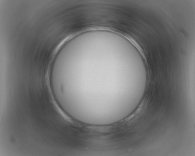X0000114511197200910190922