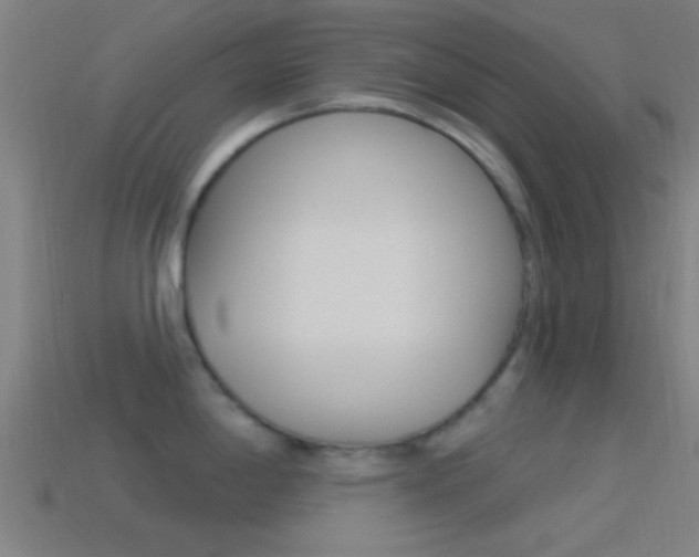 X0000114511198200910190922