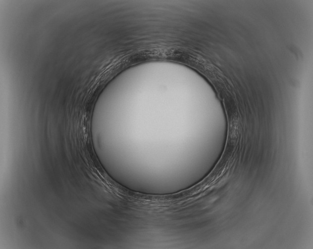 X0000114511202200910190922