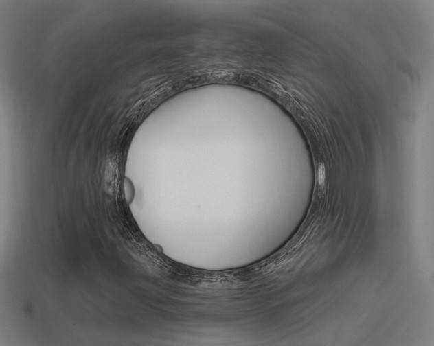 X0000114511203200910190922