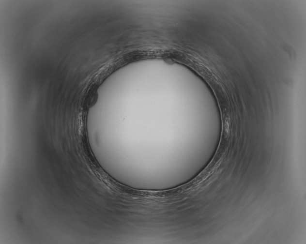 X0000114511204200910190922