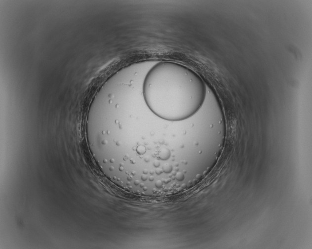X0000114511205200910190922
