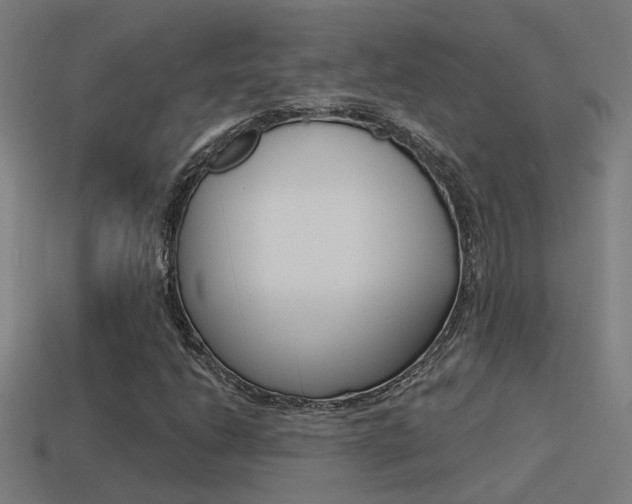 X0000114511206200910190922