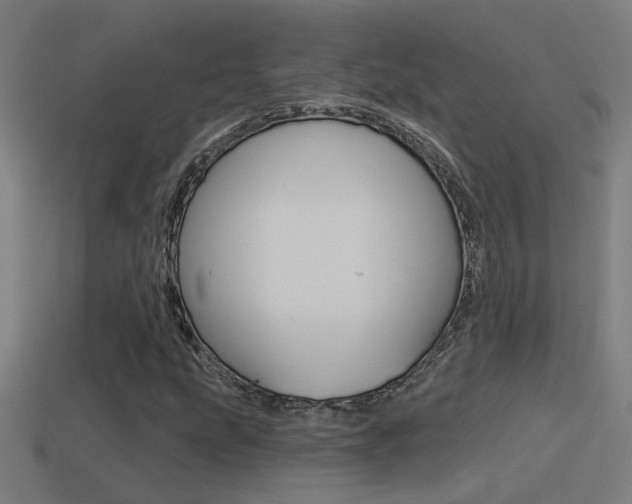 X0000114511207200910190922