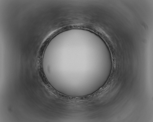 X0000114511208200910190922