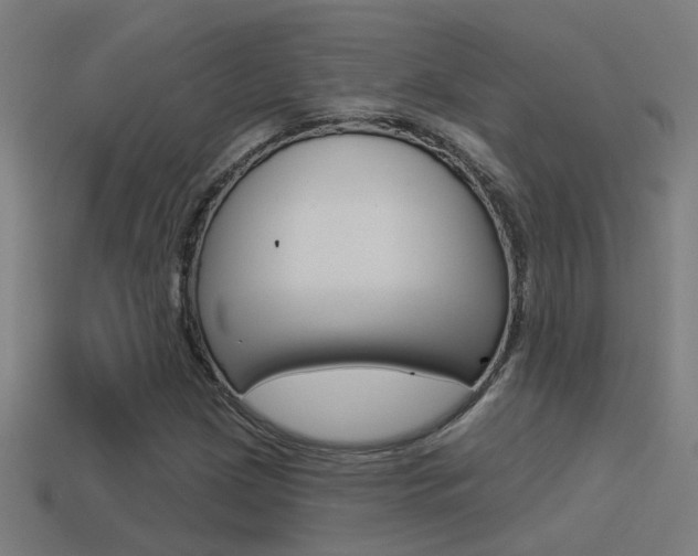 X0000114511209200910190922