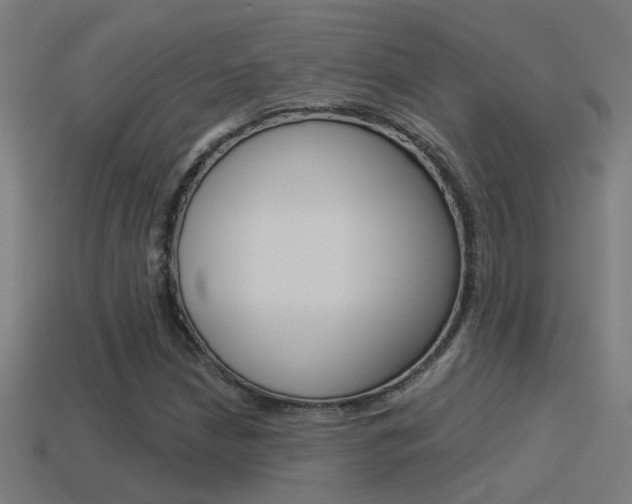 X0000114511210200910190922