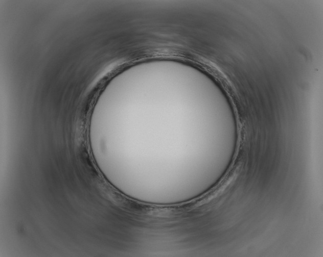 X0000114511211200910190922