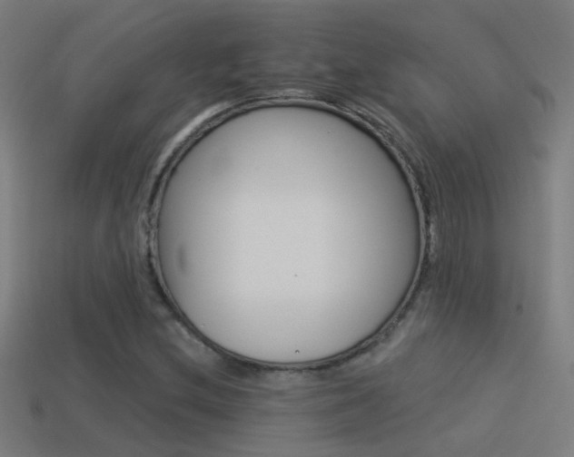 X0000114511212200910190922