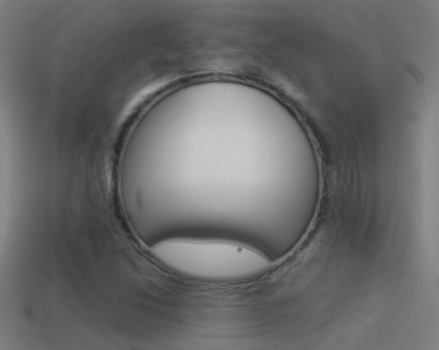 X0000114511214200910190922