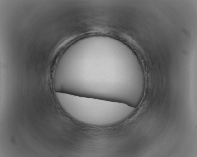 X0000114511215200910190922