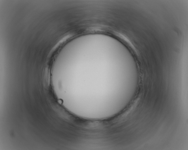 X0000114511219200910190922