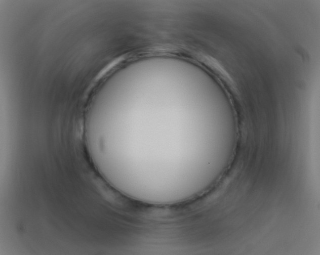 X0000114511220200910190922