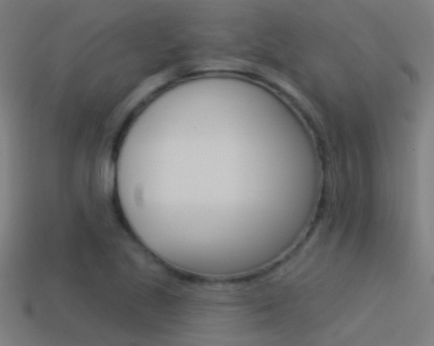 X0000114511221200910190922