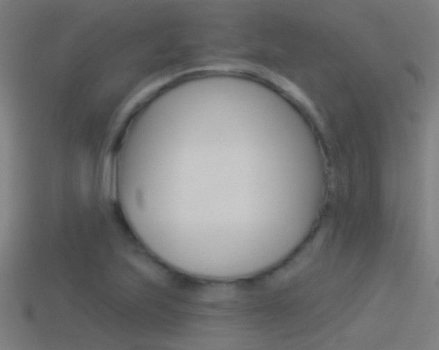 X0000114511223200910190922