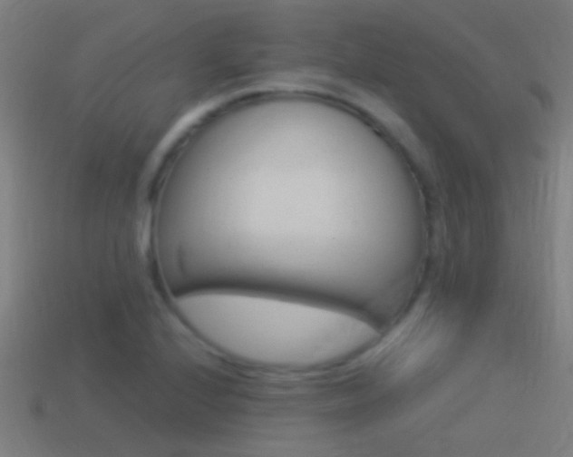 X0000114511224200910190922