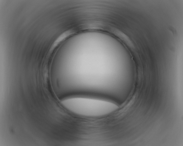 X0000114511226200910190922