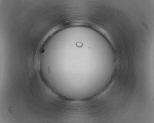 X0000114511227200910190922