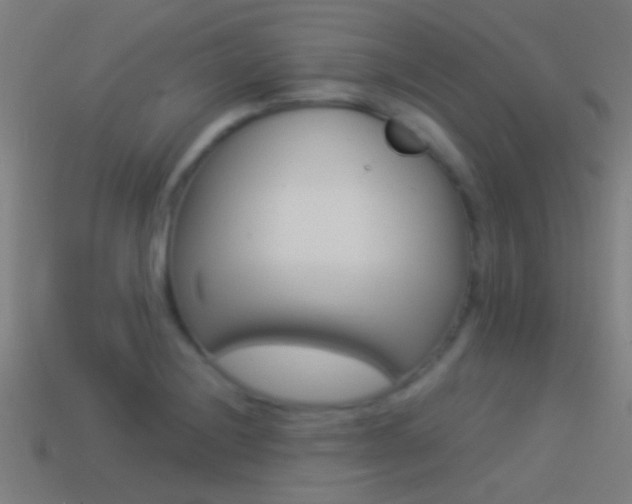X0000114511228200910190922